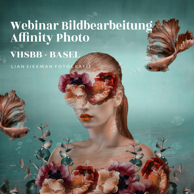 Webinar Affinity Photo VHSBB Basel